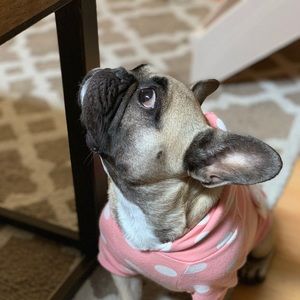 Meet your Posher, Soo